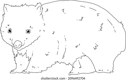 Australian Natives Collection - Wombat - Line Art