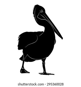 Australian Pelican portrait vector illustration stylized in black and white