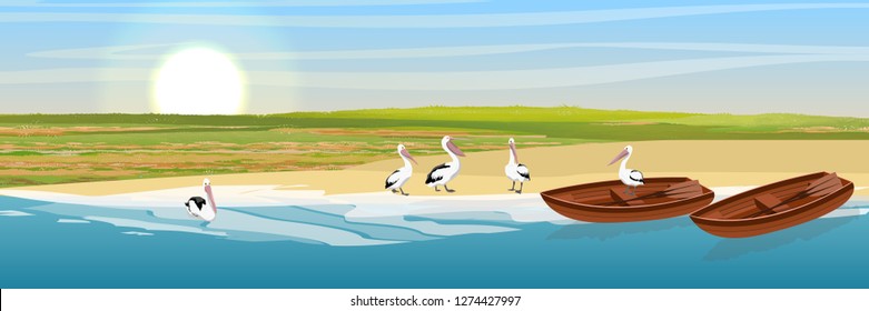 Australian pelicans on the shore. Sea or ocean coast. Wooden boats. Wild birds of Australia, New Guinea and Indonesia. Realistic Vector Landscape