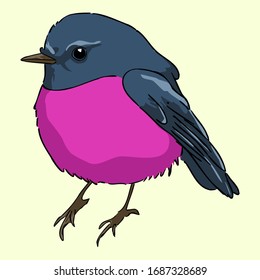 Australian pink robin vector drawing