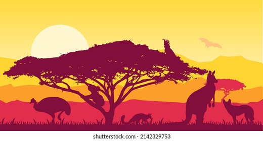 Australian plains Wild nature of Australia. Acacia trees . Realistic vector landscape. Silhouettes of animals and plants. Travels EPS