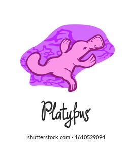 Australian platypus ashore with stones and sand, on a purple background. Drawn in linear graphics, isolate for banners, cards, posters and sites.