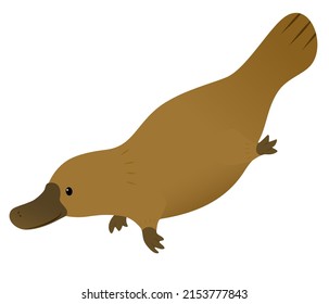 Australian platypus,  Platypus design vector