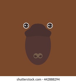 australian platypus funny face on brown background. Vector