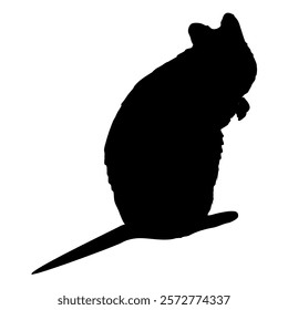 Australian Quokka Silhouette. Realistic animal vector