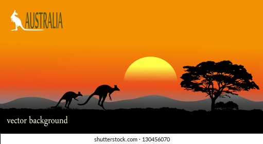 Australian savanna