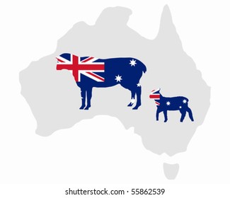 Australian sheeps