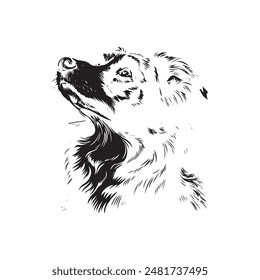 Australian Shepard vector logo silhouette design 