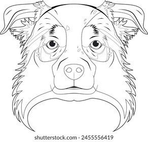 Australian Sheperd dog easy coloring cartoon vector illustration. Isolated on white background