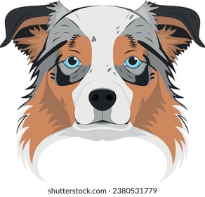 Australian Sheperd dog isolated on white background vector illustration