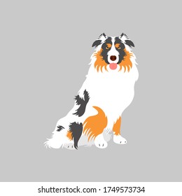 Australian Shepherd or Aussie dog sitting isolated on gray background. Cartoon dog puppy icon vector. Hand drawn childish vector illustration. Great for icon, symbol, logo, children's book.