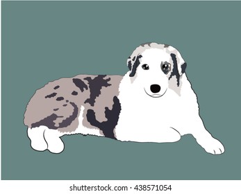 Australian shepherd cartoon