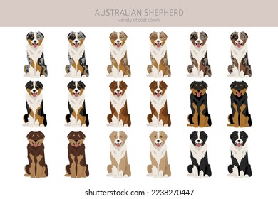 Australian shepherd clipart. Coat colors Aussie set.  All dog breeds characteristics infographic. Vector illustration svg