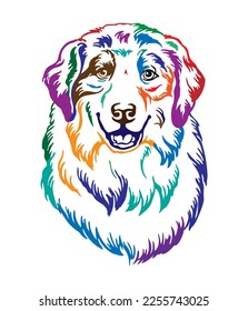 Retrato de contorno multicolor abstracto de perro pastor australiano. La cabeza del perro cierra la ilustración del vector aislado en blanco. Para decoración, diseño, impresión, afiche, pegatina, camiseta, crujido, tatuaje, bordado