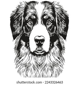 Australian Shepherd dog black and white vector logo, line art hand drawn vector pets illustration
