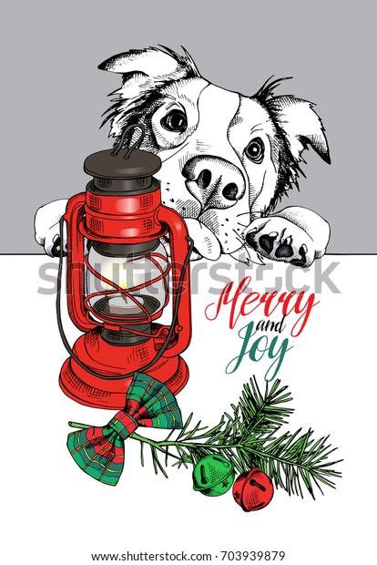 Holde Planlagt Brutal Australian Shepherd Dog Christmas Lantern Fir Stock Vector (Royalty Free)  703939879