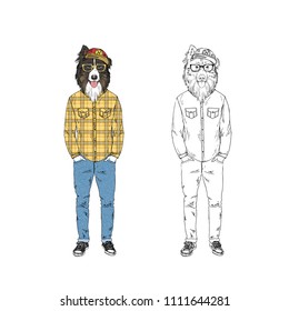 Australian Shepherd dog dressed up  injeans and plaid shirt, anthropomorphic animal illustration