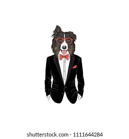 Australian Shepherd dog dressed up  in tuxedo, anthropomorphic animal illustration