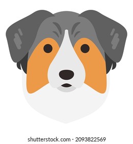 australian shepherd dog face flat clipart vector illustration