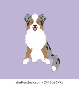 Australian shepherd dog face portrait cartoon illustration.  Cute friendly blue merle tricolor herding dog smiling with tongue out.