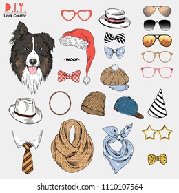 Australian Shepherd dog fashion portrait creation kit for D.I.Y. projects