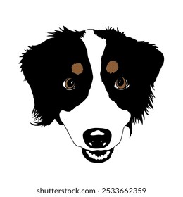 Australian Shepherd dog flat vector illustration. Aussie portrait drawing. Cute smiling pet head. Design element for print, t shirt, card.