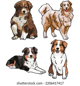 Dibujo del grupo de perros pastores australianos