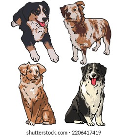 Dibujo del grupo de perros pastores australianos