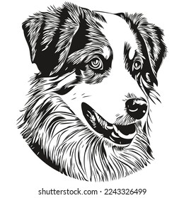 Australian Shepherd dog hand drawn illustration, black and white vector pets logo line art
