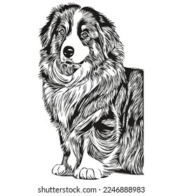 Dibujo del vector de la línea dibujada a mano del perro pastor australiano dibujo del logotipo blanco y negro ilustración de mascotas
