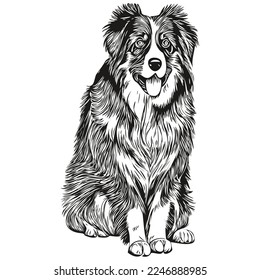 Australian Shepherd dog hand drawn logo line art vector drawing black and white pets illustration
