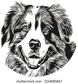 Australian Shepherd dog hand drawn vector line art drawing black and white logo pets illustration
