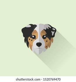 Australian Shepherd Dog Head Vector Flat Design Illustration from Front View for Website Icon, Social Media and Blog Post Dog Related Business