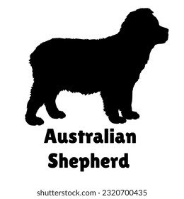 Australian Shepherd Dog puppies silhouette. Baby dog silhouette. Puppy