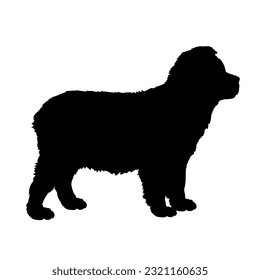 Australian Shepherd Dog puppies silhouette. Baby dog silhouette. Puppy
