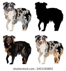 Australian Shepherd dog, side view. Cute profile logo design, popular colors, breed pet character art. Friendly dog mascot. Detailed illustration. Tan point blue merle, black and white, Black bi, tan.