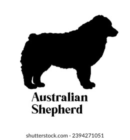 Australian Shepherd. Dog silhouette dog breeds logo dog monogram logo dog face vector