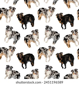 Australian Shepherd dog square pattern, repeatable background, tile.Seamless pattern with dogs. Australian Shepherd Color Patterns, several types, on a whit background. Gift wrapping design. Dog fans.