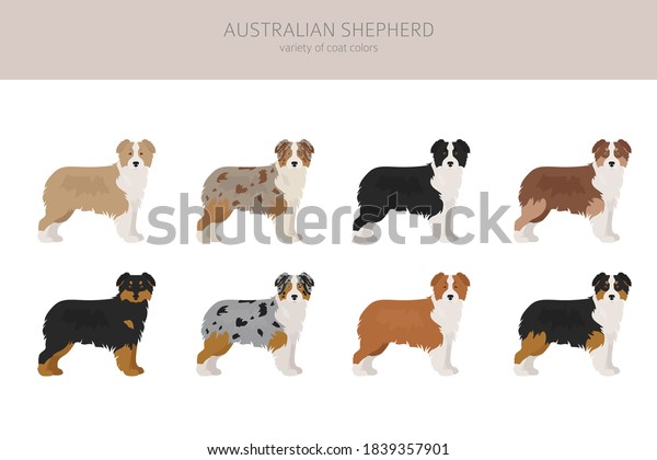 aussie coats