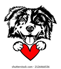 Australian shepherd with heart, Aussie, pet portrait