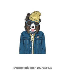 Australian Shepherd hipster portrait, fashion dogs