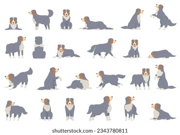 Australian Shepherd icons set cartoon vector. Dog animal. Canine breed