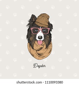 Australian Shepherd Portrait, Dog Illustration