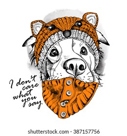 Australian shepherd portrait in a fox muzzle hat. Vector illustration.