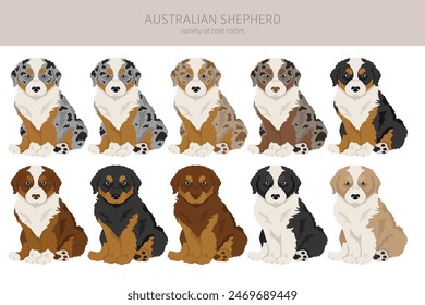 In: Australian Shepherd Puppies Clipart. Mantel Farben Aussie Set.  Alle Hunderassen Eigenschaften Infografik. Vektorillustration