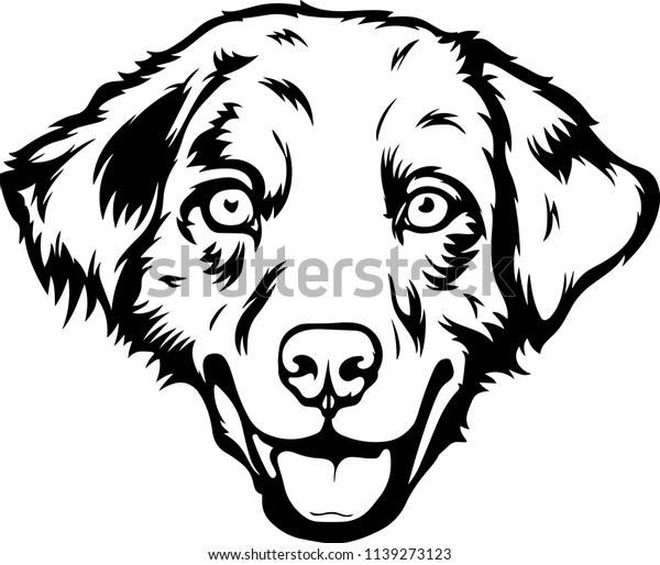 オーストラリアのシェパード シェルティ 犬が顔を繁殖させる頭の孤立した愛犬家の飼い犬 純血種の血統犬の犬のポートレートピークパウクは笑顔の笑顔のハッピーアートイラストデザイン のベクター画像素材 ロイヤリティフリー