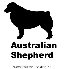 australian shepherd silhouette dog breed