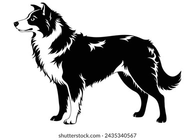 Australian Shepherd silhouette, illustration white background