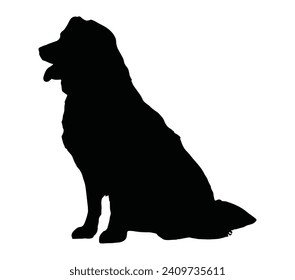 Australian Shepherd Silhouette Stock Vector Illustration.