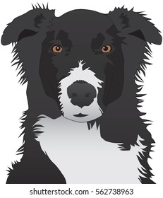 827 Australian shepherd Stock Vectors, Images & Vector Art | Shutterstock